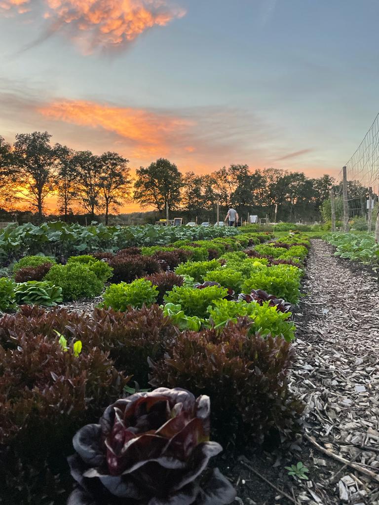 WhatsApp Image 2023-09-07 at 12.33.47