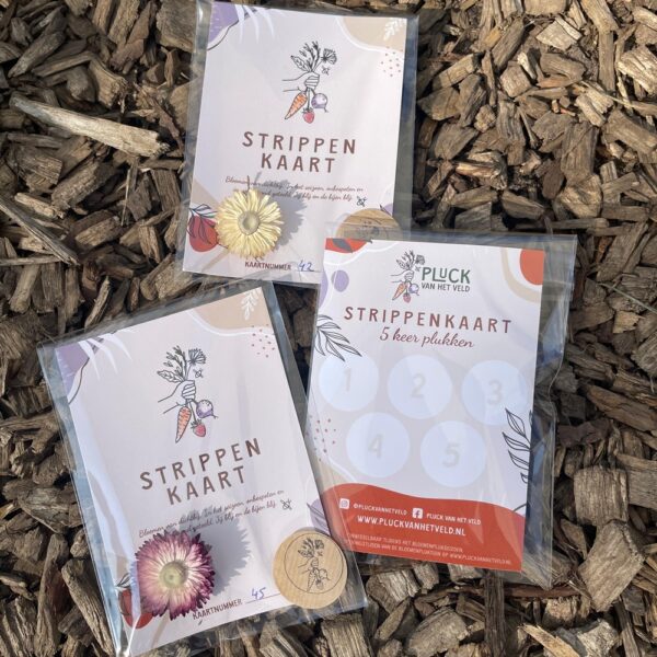 Strippenkaart 10x bloemen plukken - Afbeelding 2