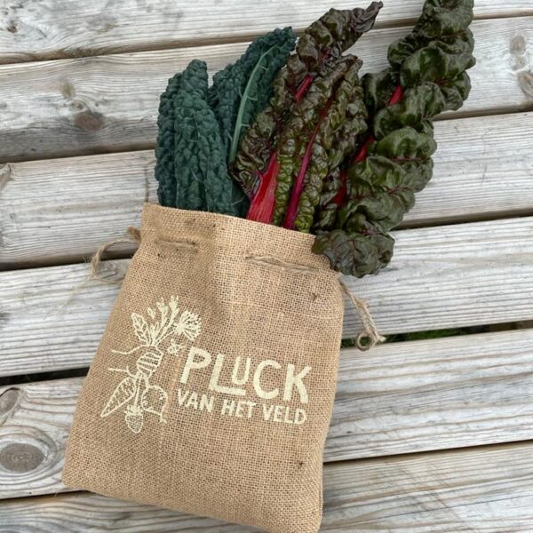 Pluck van het veld Oogstzakje