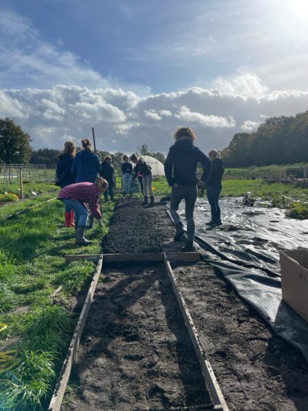 Cursus Moestuinieren - Afbeelding 2