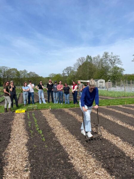 Cursus Moestuinieren - Afbeelding 4