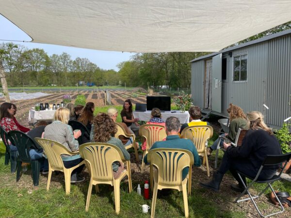 Cursus Moestuinieren - Afbeelding 3