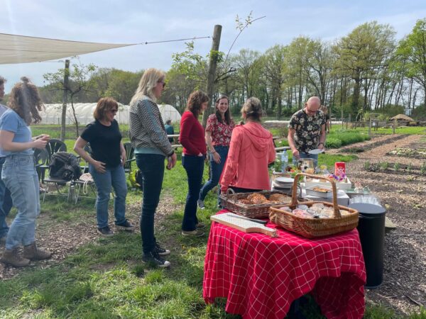 Cursus Moestuinieren - Afbeelding 6