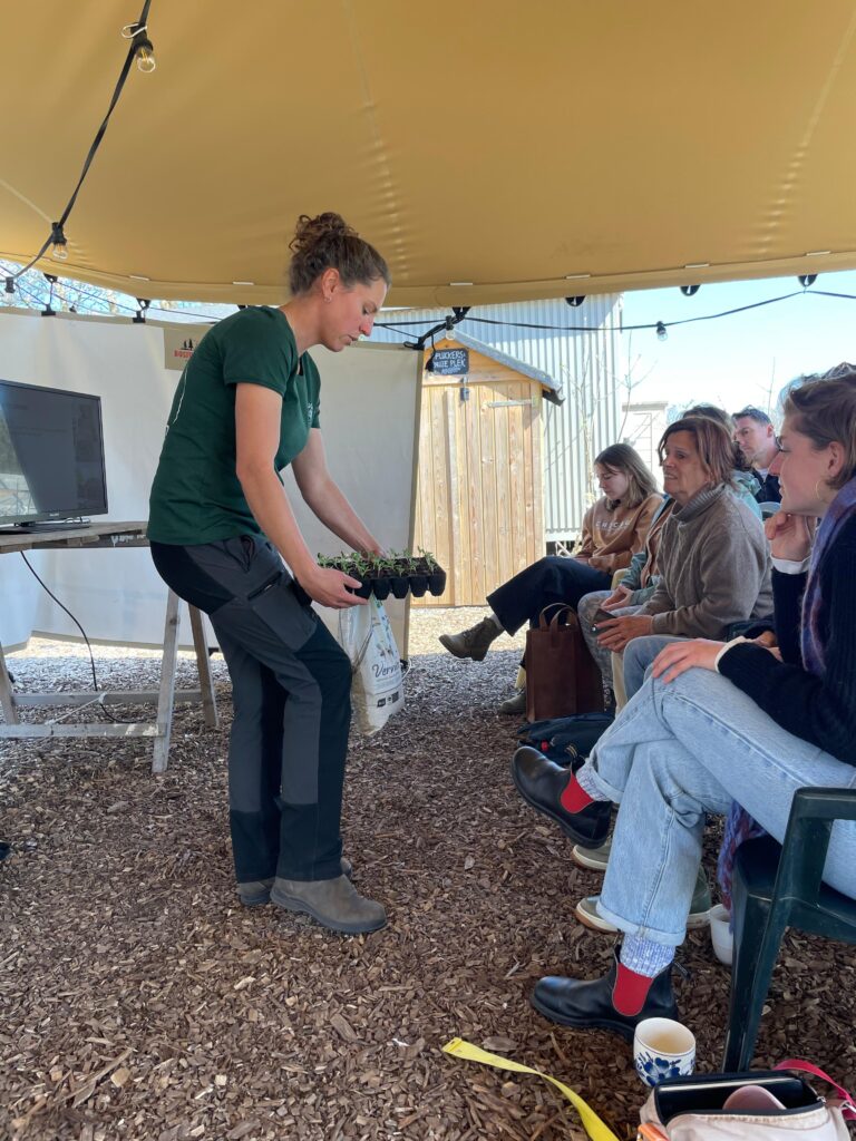 WhatsApp Image 2025-12-18 at 10.45.50 (1)