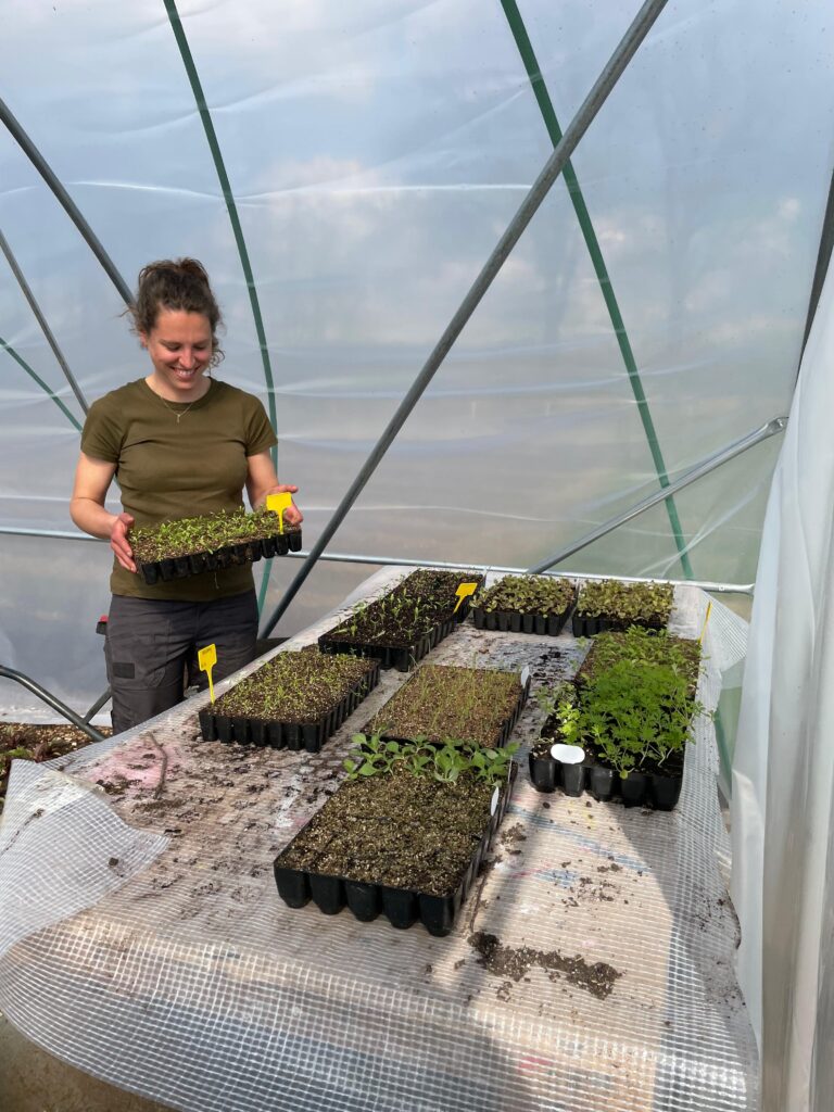 WhatsApp Image 2024-12-12 at 12.02.04 (1)