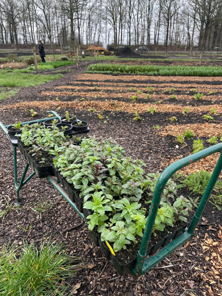 WhatsApp Image 2024-12-12 at 12.02.04 (2)