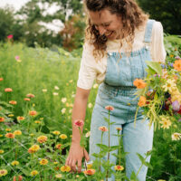 Seizoensabonnement bloemen plukken 2026