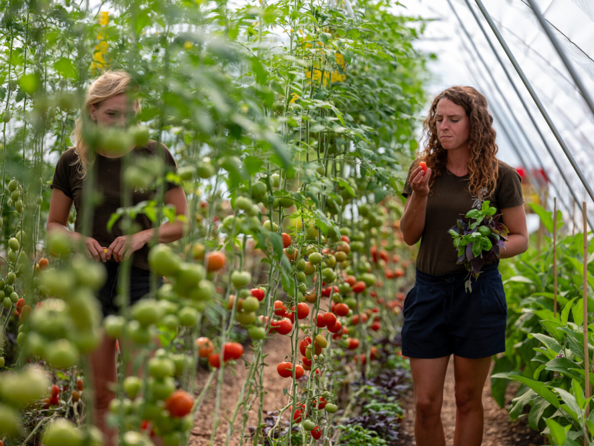 credits_Marjolein_Vinkenoog-Pluck-plukken-2023-16