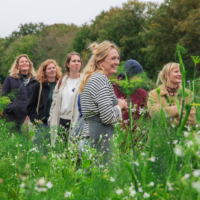 Workshops, cursussen en evenementen